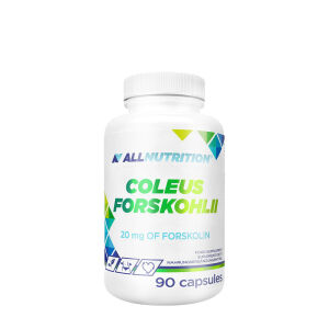 Coleus Forskohlii – 90 Kapseln – Viking Supplements