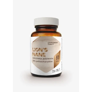 HEPATICA Löwenmähne (60 Kapseln) – Viking Supplements
