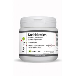 KENAY Boswellia Casperome Indena Phytosome (300 caps) - Viking Supplements