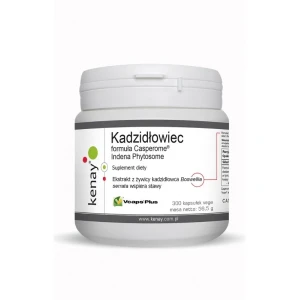KENAY Boswellia Casperome Indena Phytosome (300 Kapseln) – Viking Supplements