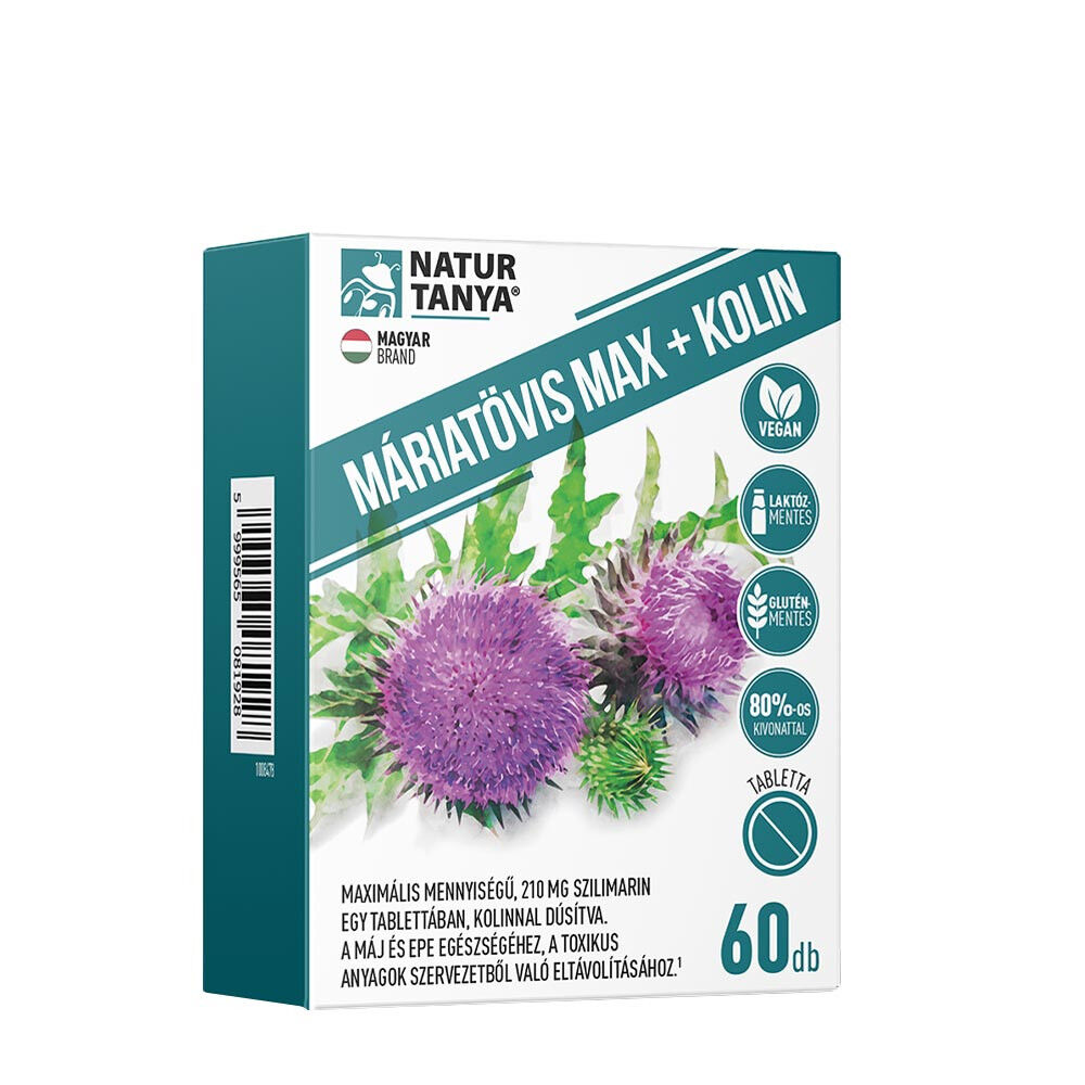 Natur Tanya Mariendistel Max + Kolin (60 Tabletten) – Viking Supplements