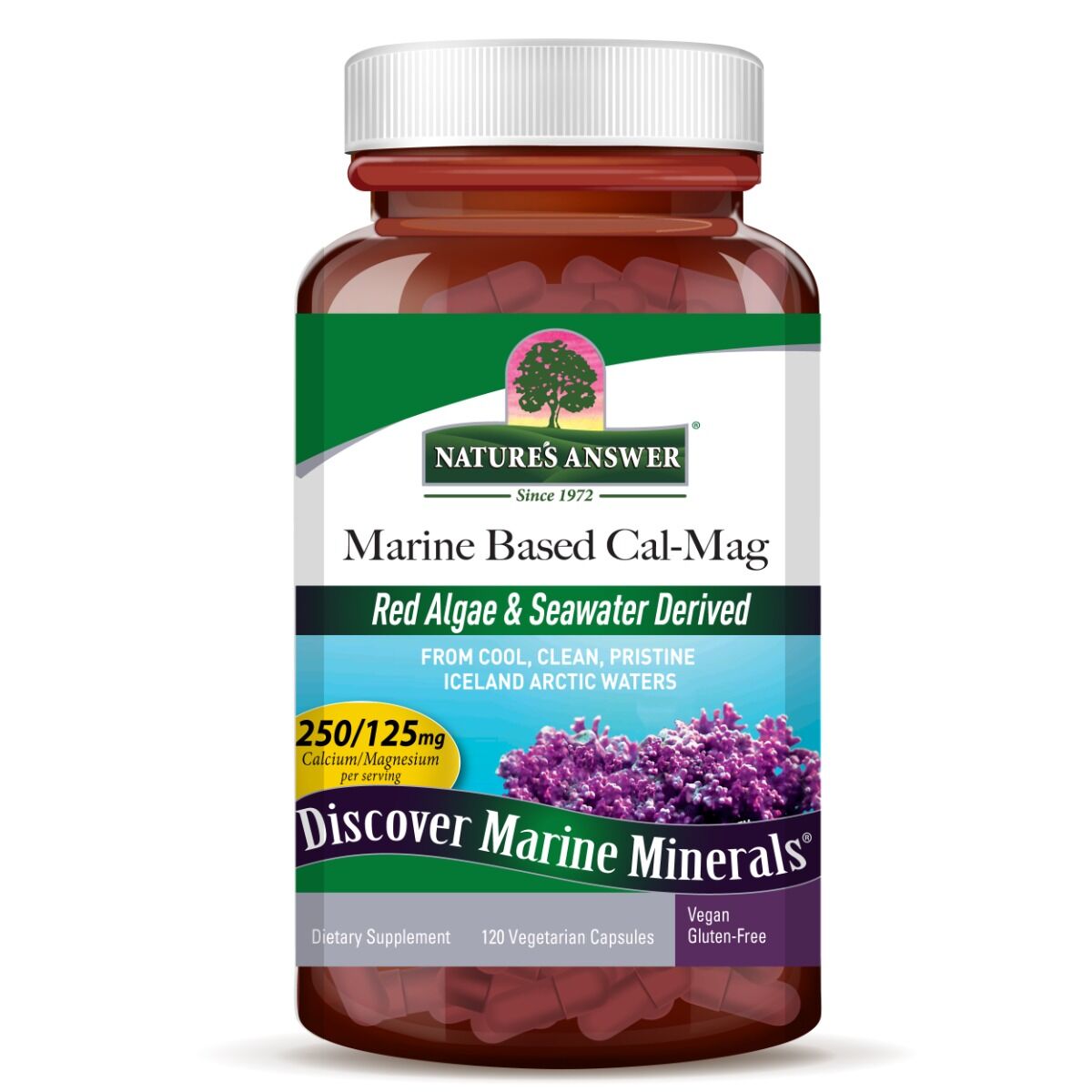 Nature's Answer Cal-Mag auf Meeresbasis, 120 Kapseln – Viking Supplements
