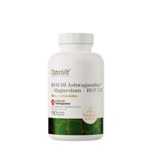 Ostrovit KSM-66 Ashwagandha® + Magnesium + B6 P-5-P (90 vegetarische Kapseln) – Viking Supplements