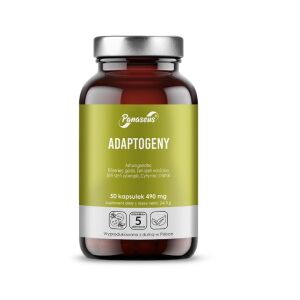 PANASEUS Adaptogene (50 Kapseln) – Viking Supplements