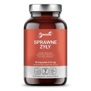 PANASEUS Efficient Veins (50 Kapseln) – Viking Supplements