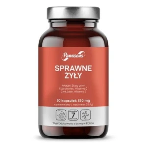 PANASEUS Efficient Veins (50 Kapseln) – Viking Supplements