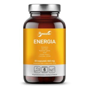 PANASEUS Energy (50 Kapseln) – Viking Supplements