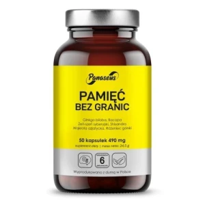 PANASEUS Gedächtnis ohne Grenzen (50 Kapseln) – Viking Supplements