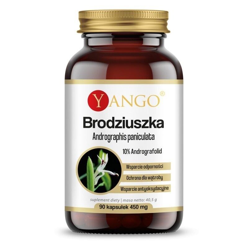 YANGO Andrographis paniculata (90 Kapseln) – Viking Supplements