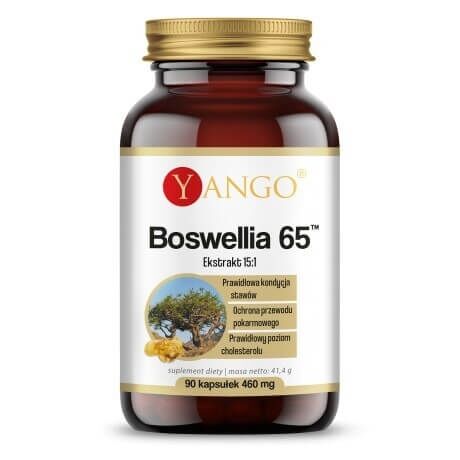 YANGO Boswellia 65 (90 Kapseln) – Viking Supplements