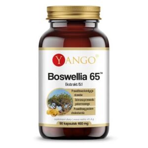 YANGO Boswellia 65 (90 Kapseln) – Viking Supplements