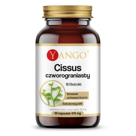 YANGO Cissus quadrangularis (90 caps) - Viking Supplements