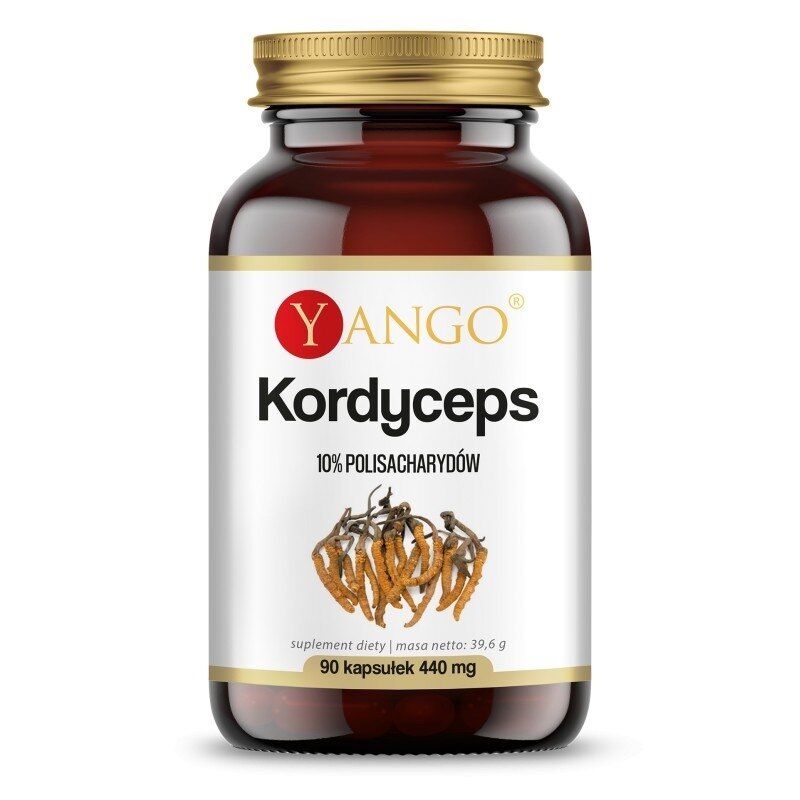 YANGO Cordyceps (90 Kapseln) – Viking Supplements