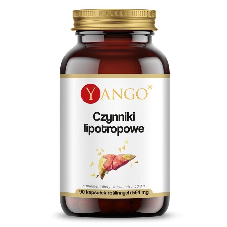 YANGO Lipotrope Faktoren (90 Kapseln) – Viking Supplements