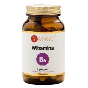 YANGO Vitamin B6 (90 Kapseln) – Viking Supplements